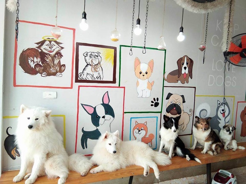 Mô hình quán cafe thú cưng