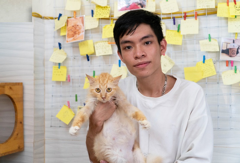 Những chú mèo được nhận nuôi từ chàng sinh viên kiến trúc