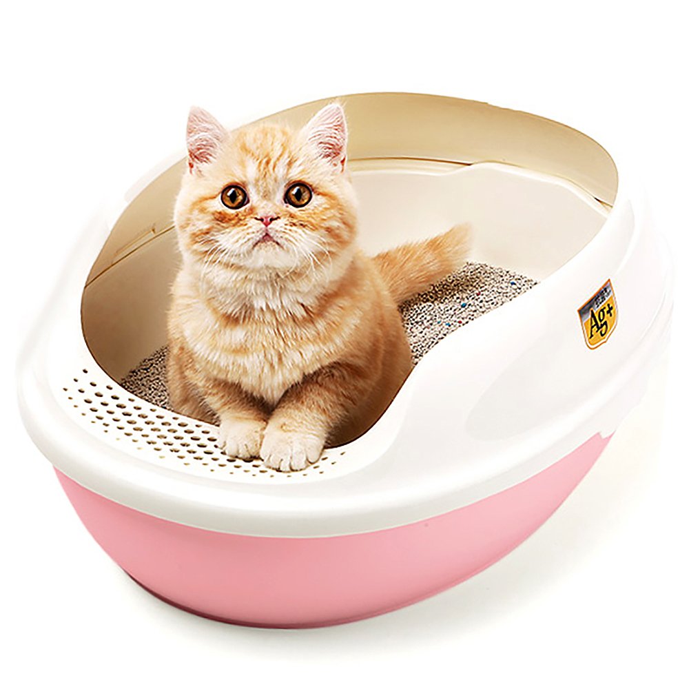 Chăm sóc mèo cần đảm bảo khay vệ sinh luôn sạch sẽ